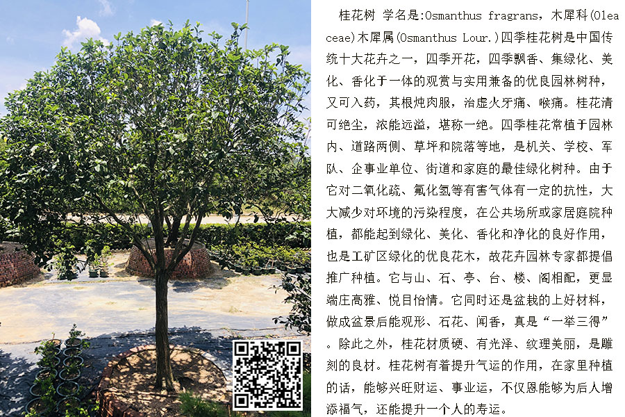 QH-0130(图1)